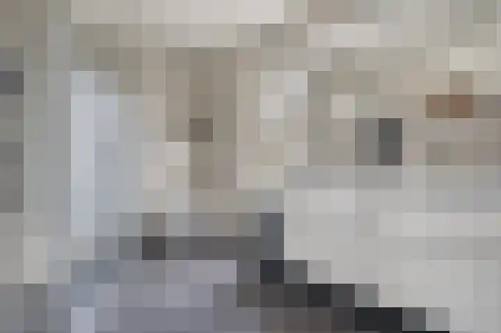 Bereklauw 1 Monnickendam thumbnail 27