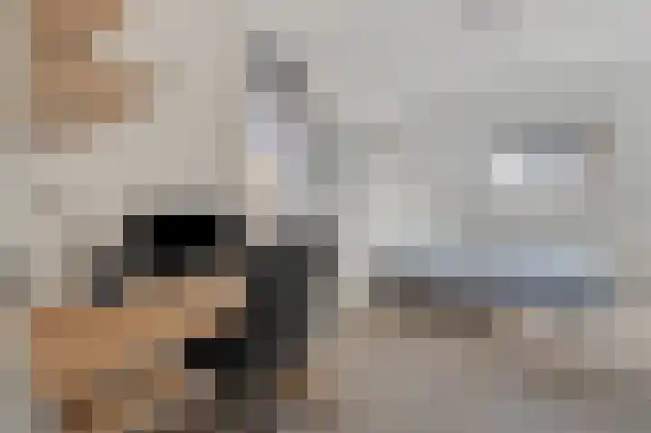 Bereklauw 1 Monnickendam thumbnail 33
