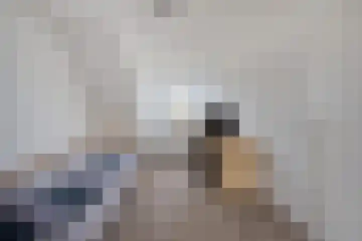 Bereklauw 1 Monnickendam thumbnail 37