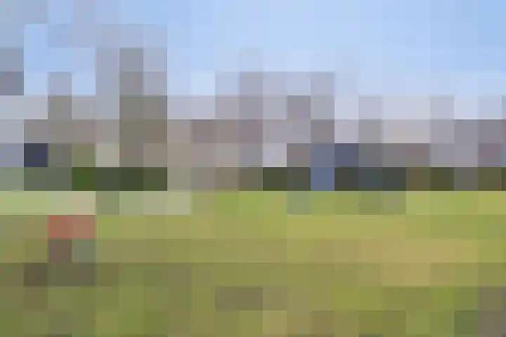 Bereklauw 1 Monnickendam thumbnail 42