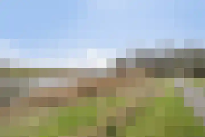 Bereklauw 1 Monnickendam thumbnail 43