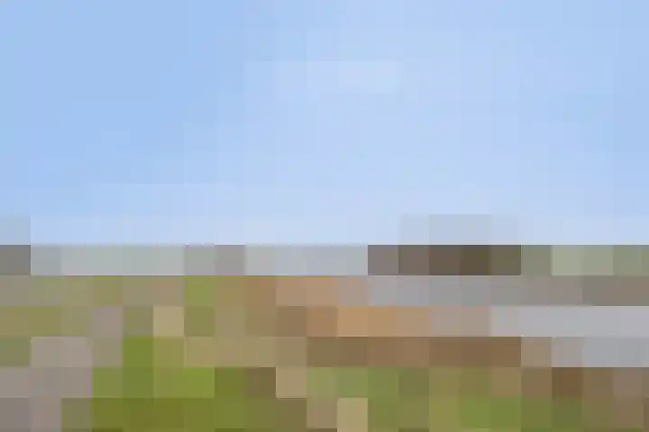 Bereklauw 1 Monnickendam thumbnail 44
