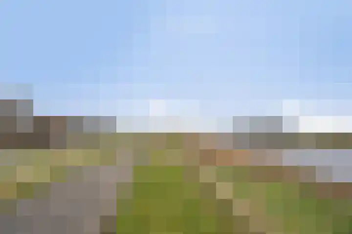 Bereklauw 1 Monnickendam thumbnail 45