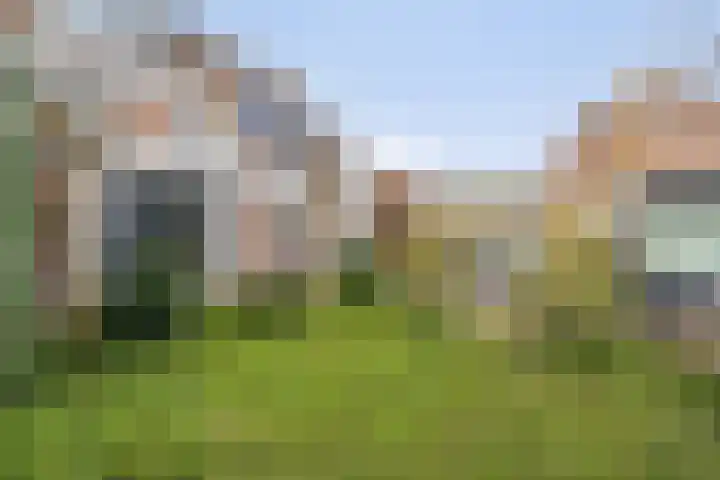 Bereklauw 1 Monnickendam thumbnail 5