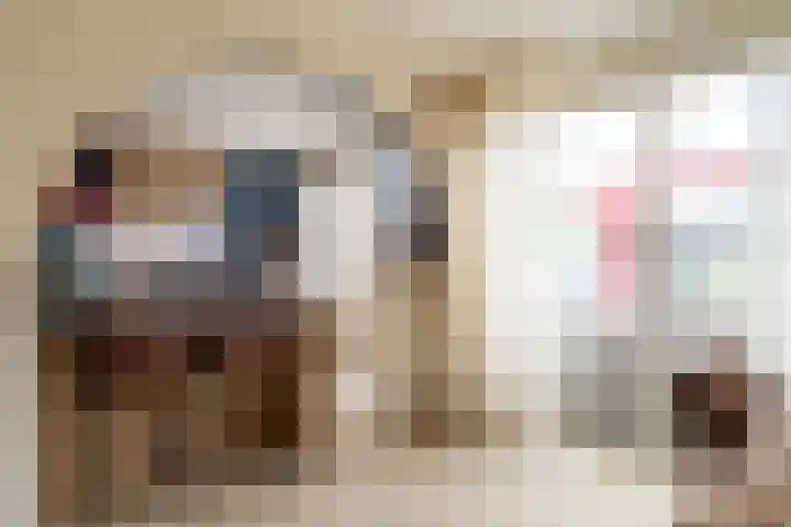 Bereklauw 1 Werkendam thumbnail 11