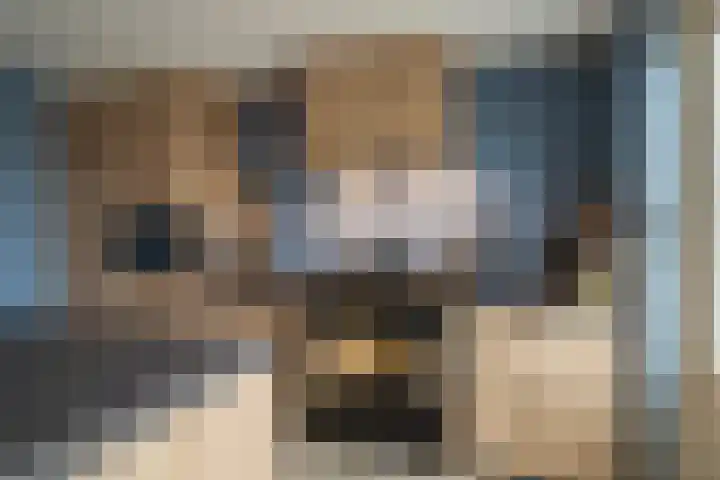Bereklauw 1 Werkendam thumbnail 12