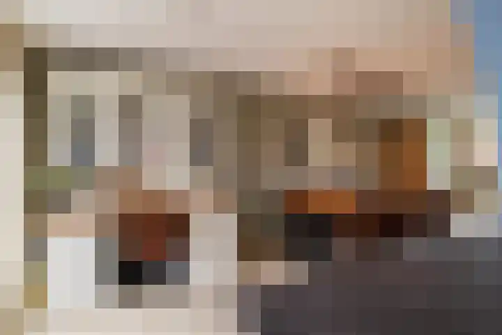 Bereklauw 1 Werkendam thumbnail 15