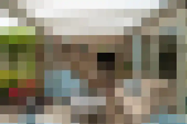 Bereklauw 1 Werkendam thumbnail 16