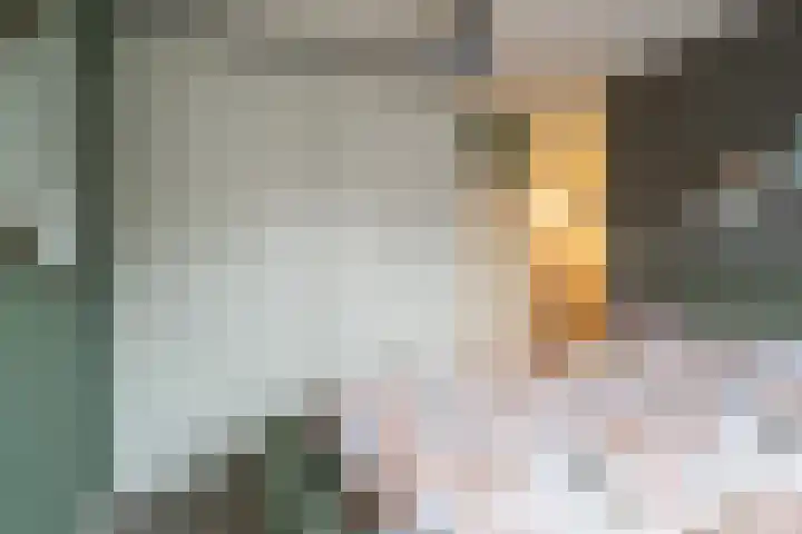 Bereklauw 1 Werkendam thumbnail 26