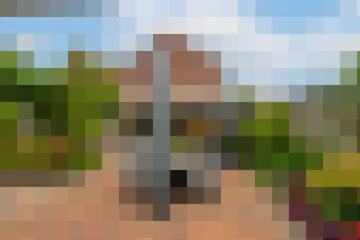 Bereklauw 1 Werkendam thumbnail 36