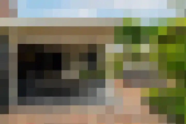 Bereklauw 1 Werkendam thumbnail 38