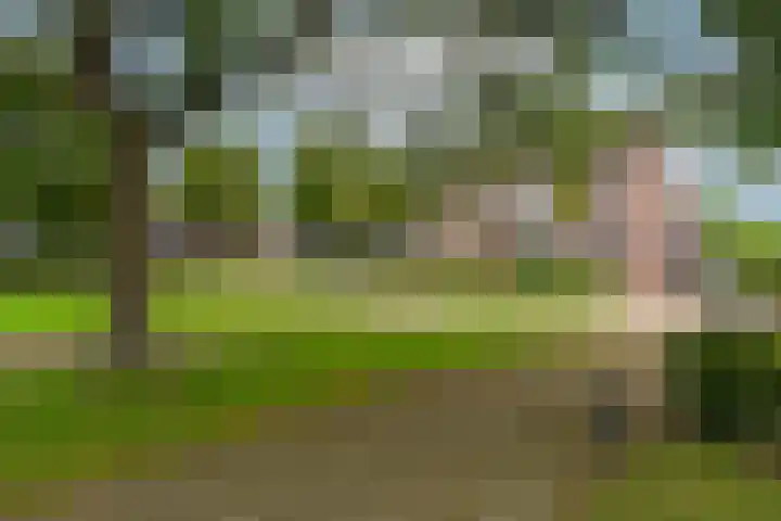 Bereklauw 1 Werkendam thumbnail 40