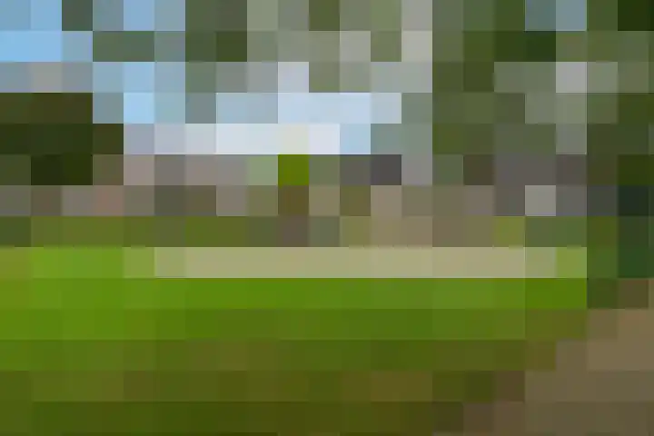 Bereklauw 1 Werkendam thumbnail 42