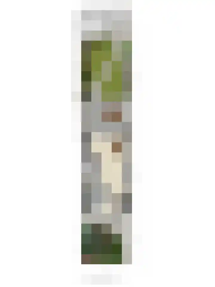 Bereklauw 10 Culemborg thumbnail 39