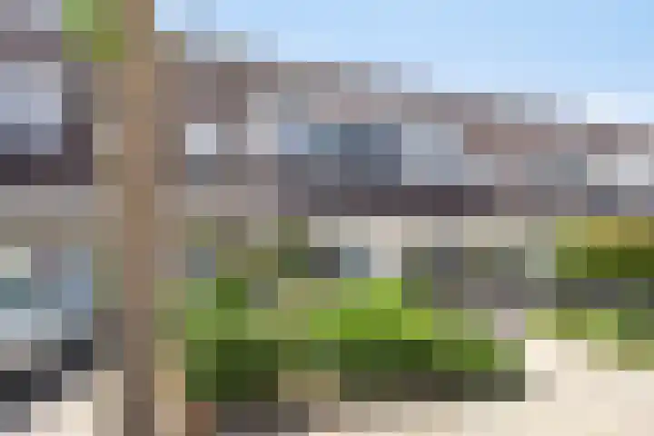 Bereklauw 10 Culemborg thumbnail 44