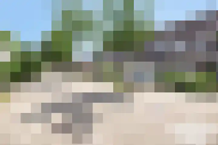 Bereklauw 10 Culemborg thumbnail 8