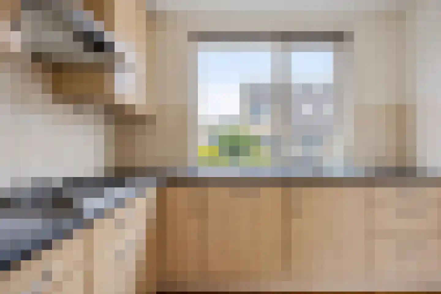 Bereklauw 10 Klazienaveen thumbnail 18
