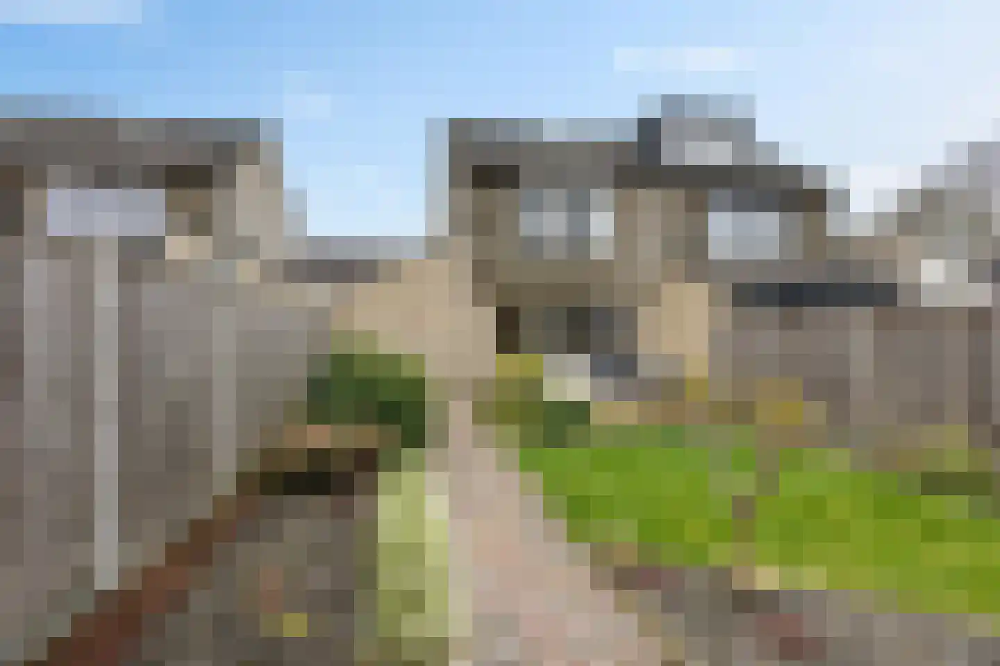 Bereklauw 10 Klazienaveen thumbnail 40