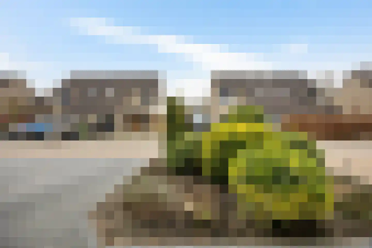 Bereklauw 10 Klazienaveen thumbnail 7