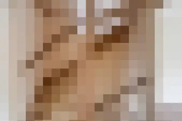 Bereklauw 106 Cuijk thumbnail 18