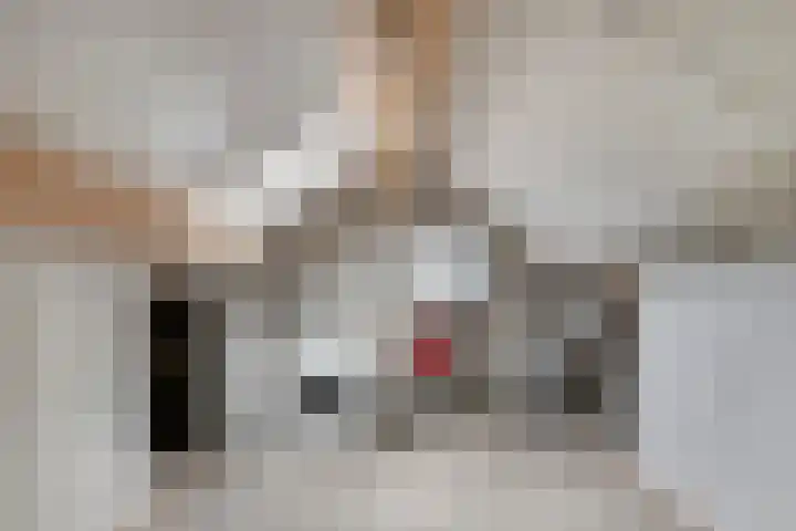 Bereklauw 106 Cuijk thumbnail 27