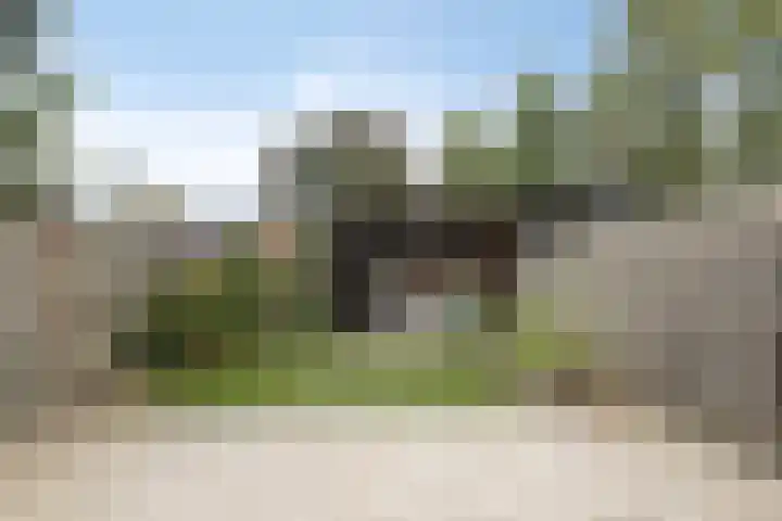 Bereklauw 106 Cuijk thumbnail 29