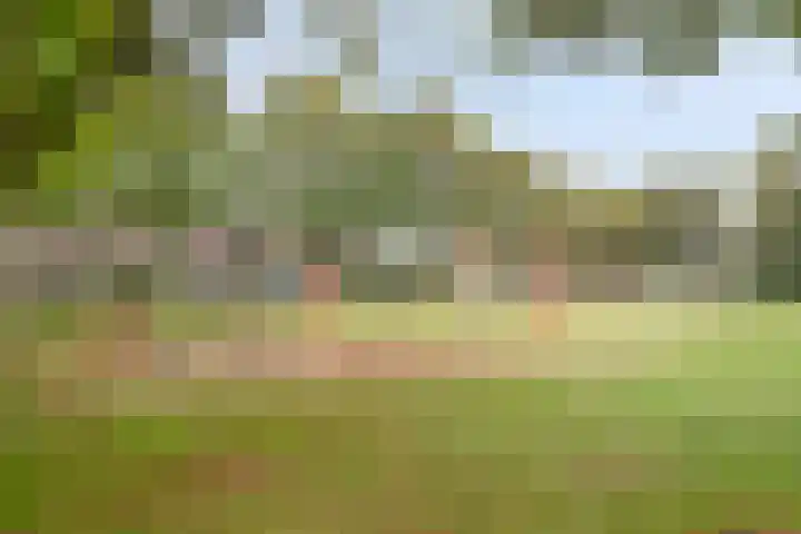 Bereklauw 106 Cuijk thumbnail 33
