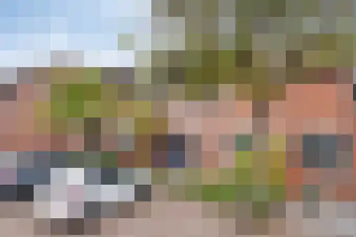 Bereklauw 106 Cuijk thumbnail 6