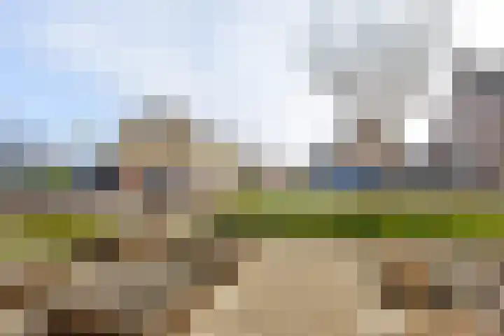 Bereklauw 11 Werkendam thumbnail 10