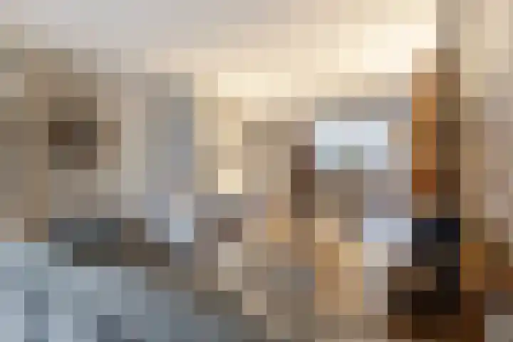 Bereklauw 11 Werkendam thumbnail 15