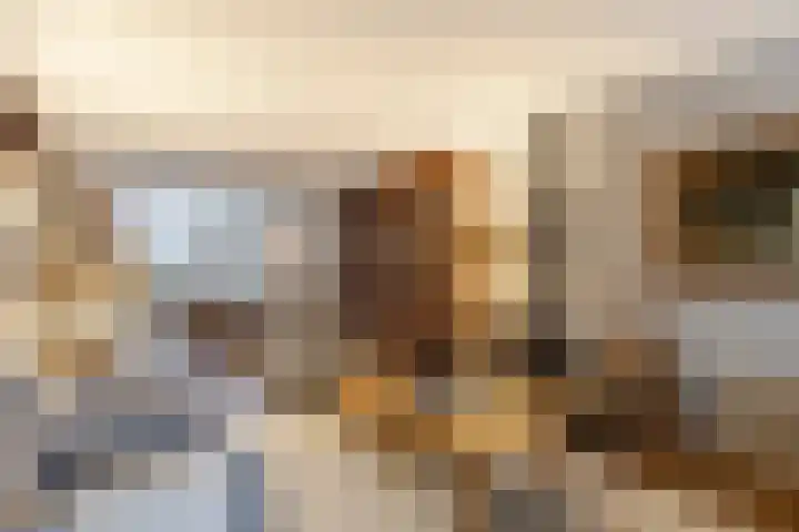 Bereklauw 11 Werkendam thumbnail 16