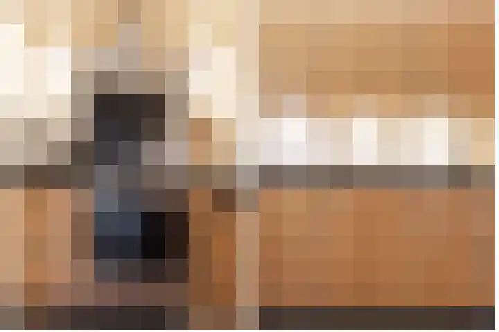 Bereklauw 11 Werkendam thumbnail 19
