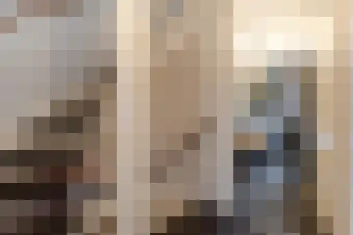 Bereklauw 11 Werkendam thumbnail 22