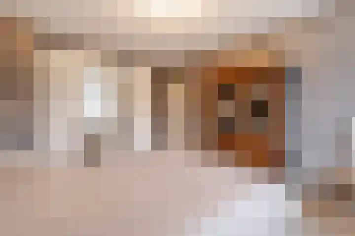 Bereklauw 11 Werkendam thumbnail 26