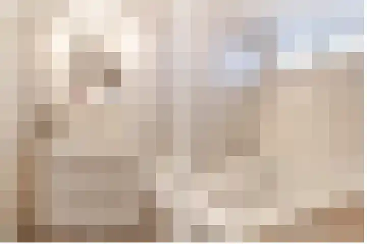 Bereklauw 11 Werkendam thumbnail 30