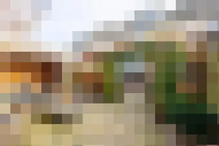 Bereklauw 11 Werkendam thumbnail 38