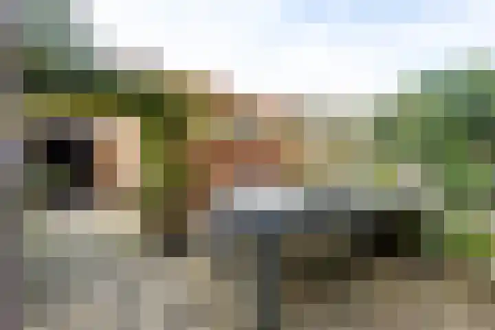 Bereklauw 11 Werkendam thumbnail 41