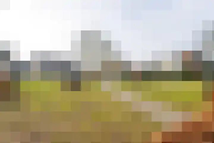 Bereklauw 11 Werkendam thumbnail 43