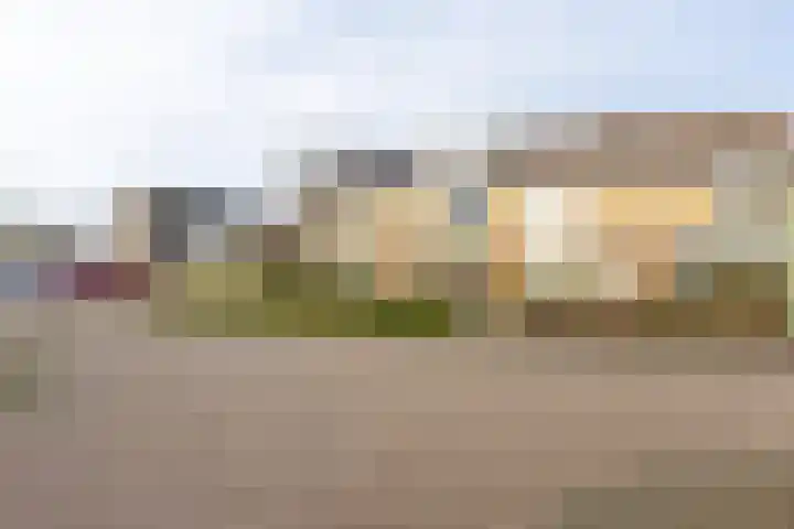 Bereklauw 11 Werkendam thumbnail 6