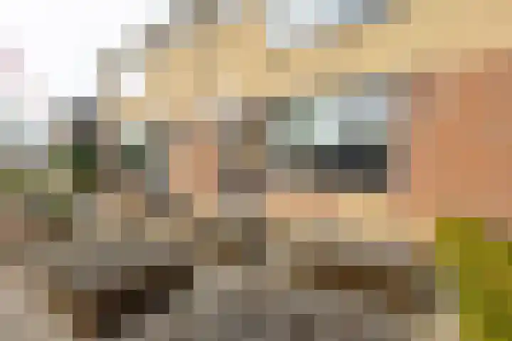 Bereklauw 11 Werkendam thumbnail 7