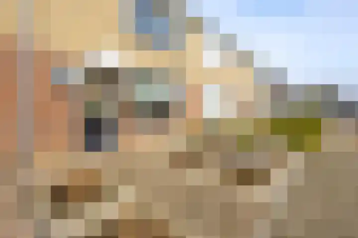 Bereklauw 11 Werkendam thumbnail 8
