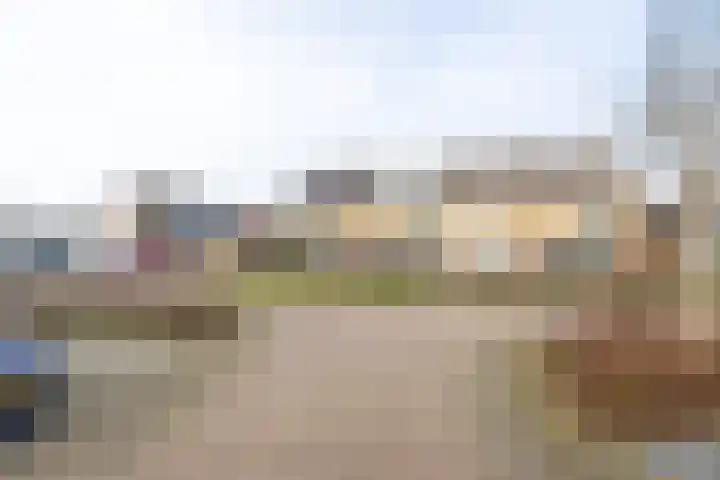 Bereklauw 11 Werkendam thumbnail 9