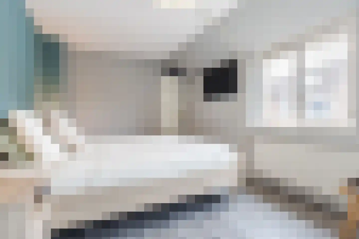 Bereklauw 114 Cuijk thumbnail 14