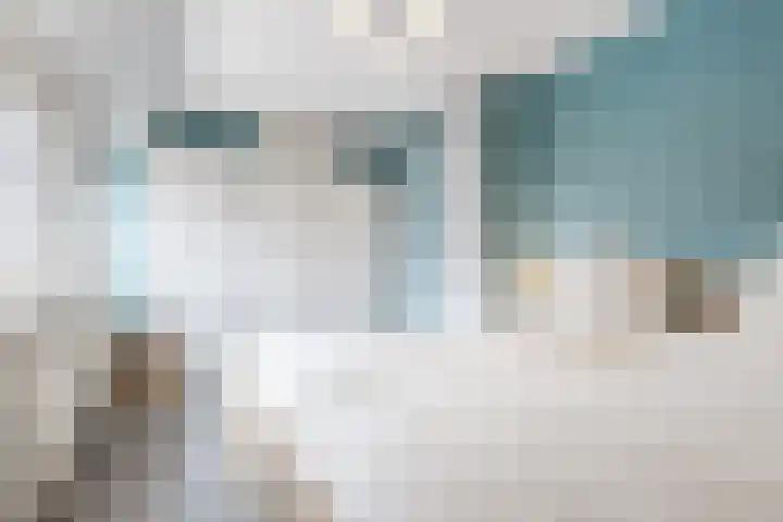 Bereklauw 114 Cuijk thumbnail 15