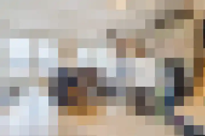 Bereklauw 114 Cuijk thumbnail 16