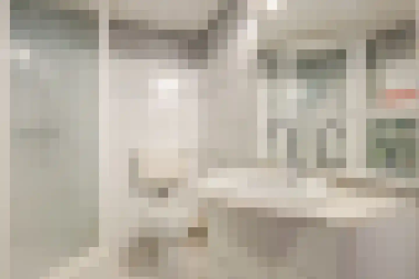Bereklauw 114 Cuijk thumbnail 18