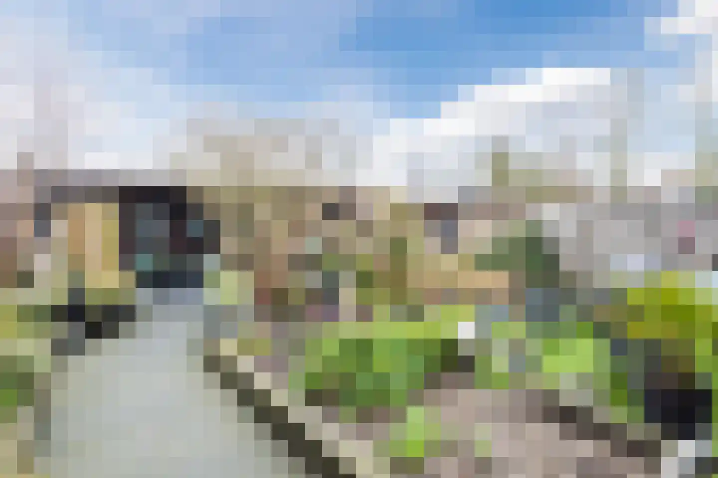 Bereklauw 114 Cuijk thumbnail 21
