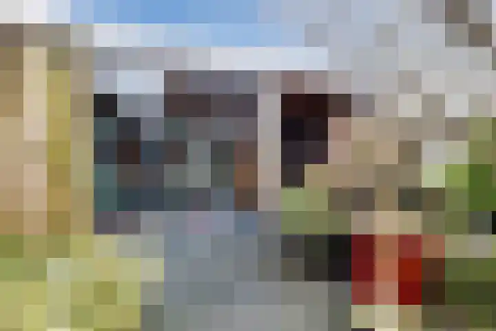 Bereklauw 114 Cuijk thumbnail 23
