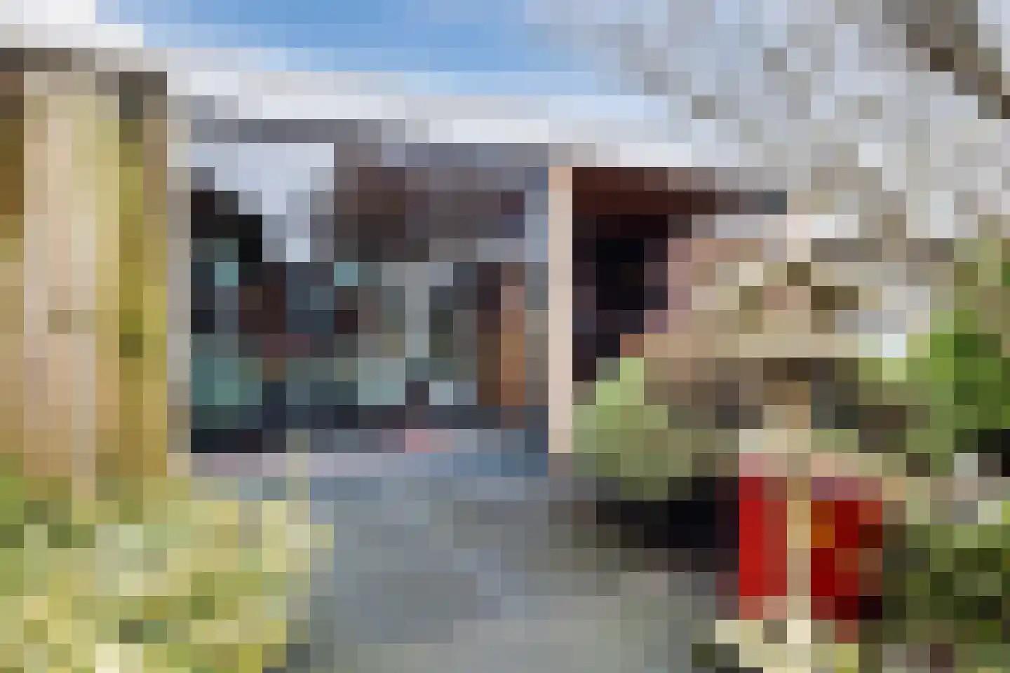 Bereklauw 114 Cuijk thumbnail 23