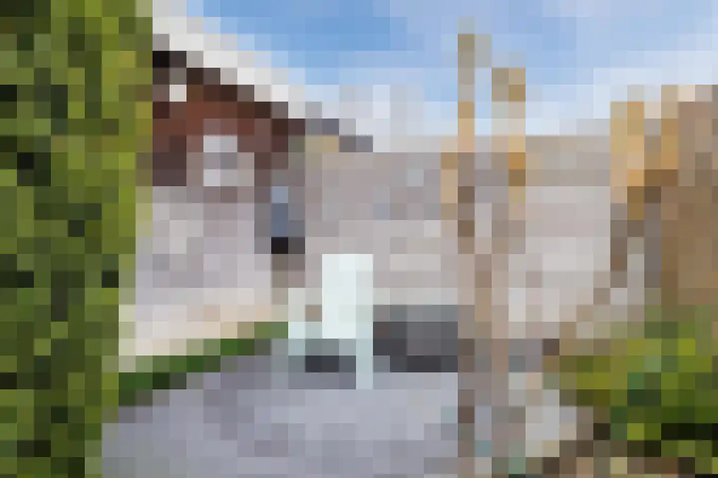 Bereklauw 114 Cuijk thumbnail 24